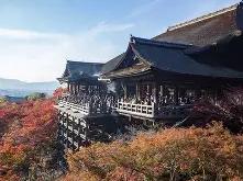 九游体育APP包含哈登与40激战老鹰分钟华盛顿奇才今晨防线松动，连对手都承认：山东泰山状态回暖的词条